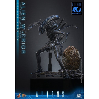 Hot Toys - Aliens  -  Alien Warrior v2 Deluxe MMS scala 1/6