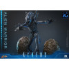 Hot Toys - Aliens  -  Alien Warrior v2 Deluxe MMS scala 1/6