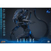 Hot Toys - Aliens  -  Alien Warrior v2 Deluxe MMS scala 1/6