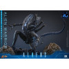 Hot Toys - Aliens  -  Alien Warrior v2 Deluxe MMS scala 1/6