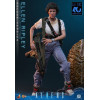 Hot Toys - Aliens - Ellen Ripley Deluxe version MMS , scala 1/6