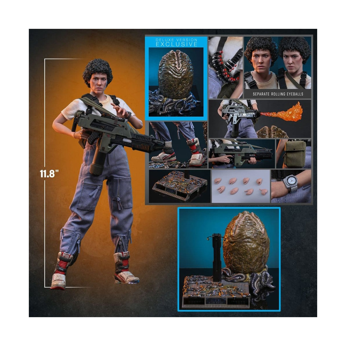 Hot Toys - Aliens - Ellen Ripley Deluxe version MMS , scala 1/6