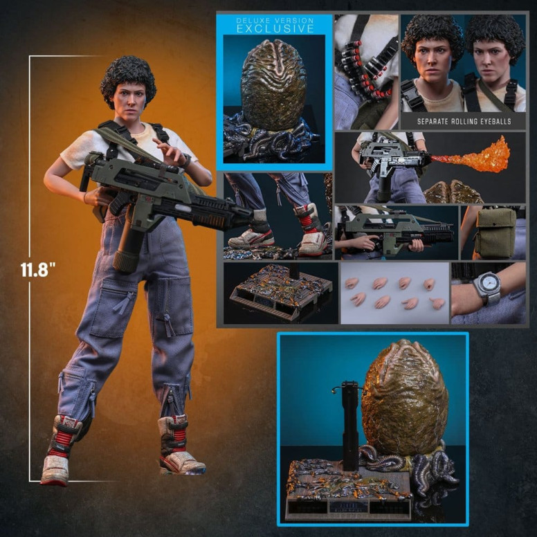 Hot Toys - Aliens - Ellen Ripley Deluxe version MMS , scala 1/6
