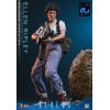 Hot Toys - Aliens - Ellen Ripley Deluxe version MMS , scala 1/6
