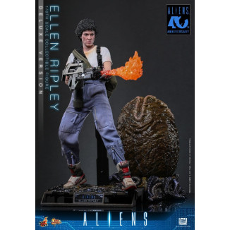 Hot Toys - Aliens - Ellen Ripley Deluxe version MMS , scala 1/6