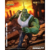 McFarlane - Savage Dragon (Image Comics Founders Series) - Edizione Elite