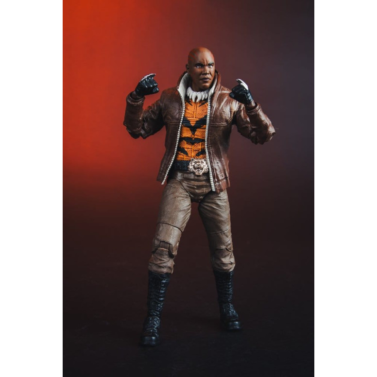 Mc Farlane - DC Multiverse - Bronze Tiger (New 52) 1/12