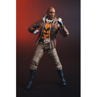 Mc Farlane - DC Multiverse - Bronze Tiger (New 52) 1/12
