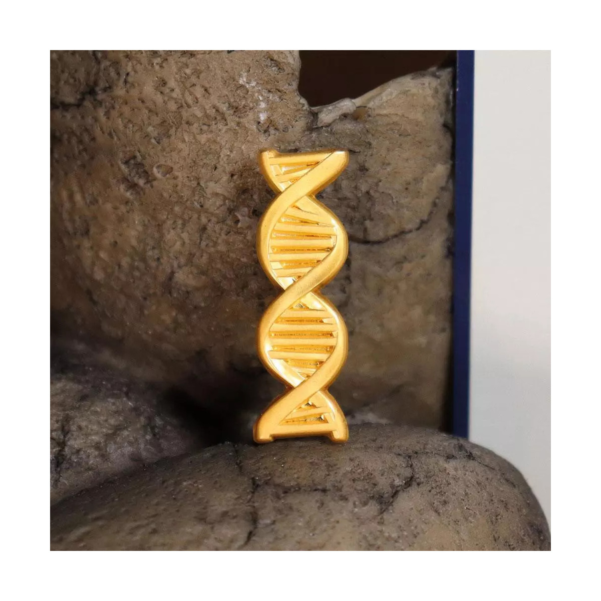 FaNaTtiK - Premio " Jurassic Park " del Laboratorio di Genetica