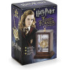 The Noble Collection - HARRY POTTER - Ciondolo "Ritorno nel tempo"