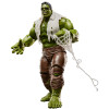 Hasbro Marvel Legends Serie - - Spider-Man: Brand New Day Hulk
