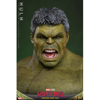 Hot Toys - Hulk 1/6 MMS905 - Marvel's Spider-Man: Brand New Day