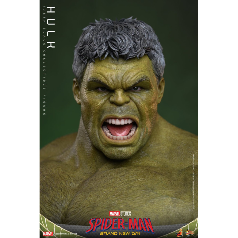 Hot Toys - Hulk 1/6 MMS905 - Marvel's Spider-Man: Brand New Day