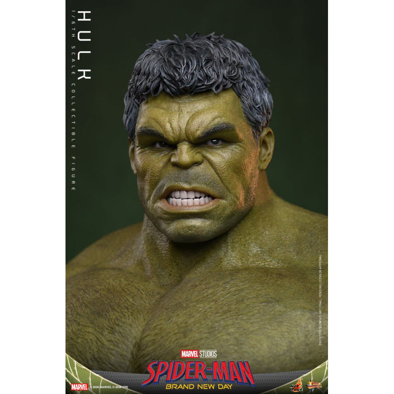 Hot Toys - Hulk 1/6 MMS905 - Marvel's Spider-Man: Brand New Day