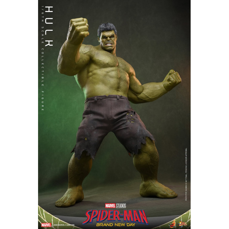 Hot Toys - Hulk 1/6 MMS905 - Marvel's Spider-Man: Brand New Day