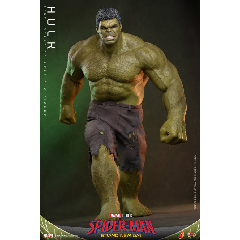 Hot Toys - Hulk 1/6 MMS905 - Marvel's Spider-Man: Brand New Day