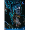 Hot Toys - Aliens 40° anniversario - ALIEN QUEEN  1/6