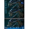 Hot Toys - Aliens 40° anniversario - ALIEN QUEEN  1/6