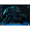 Hot Toys - Aliens 40° anniversario - ALIEN QUEEN  1/6