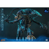 Hot Toys - Aliens 40° anniversario - ALIEN QUEEN  1/6
