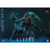 Hot Toys - Aliens 40° anniversario - ALIEN QUEEN  1/6