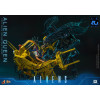 Hot Toys - Aliens 40° anniversario - ALIEN QUEEN  1/6
