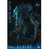 Hot Toys - Aliens 40° anniversario - ALIEN QUEEN  1/6