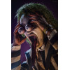 Hot Toys - Beetlejuice MMS 1/6 - Beetlejuice Beetlejuice Figurina