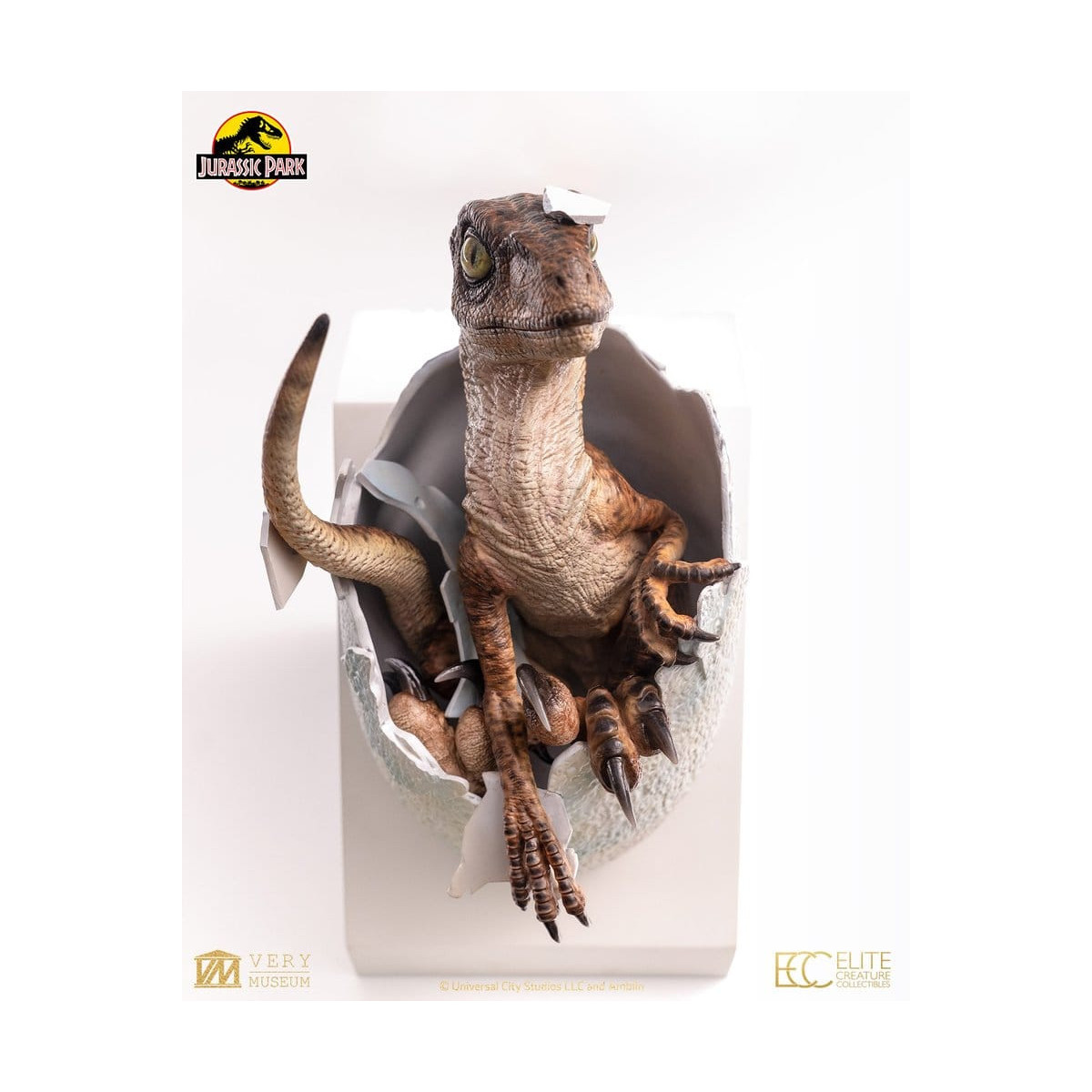 Toynami ECC Elite Creature Collectibles - Uovo di Velociraptor in fase di schiusa 1/1 - Jurassic Park
