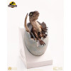 Toynami ECC Elite Creature Collectibles - Uovo di Velociraptor in fase di schiusa 1/1 - Jurassic Park