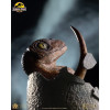 Toynami ECC Elite Creature Collectibles - Uovo di Velociraptor in fase di schiusa 1/1 - Jurassic Park