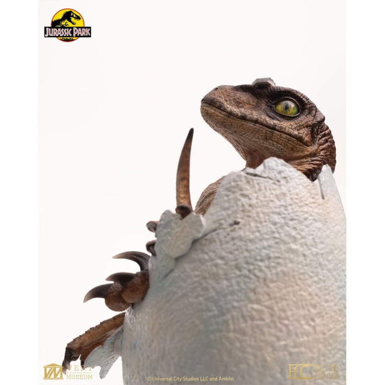 Toynami ECC Elite Creature Collectibles - Uovo di Velociraptor in fase di schiusa 1/1 - Jurassic Park