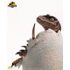 Toynami ECC Elite Creature Collectibles - Uovo di Velociraptor in fase di schiusa 1/1 - Jurassic Park