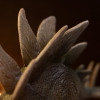 Iron Studios - Stegosauro - Jurassic Park: le icone di “Il mondo perduto”