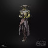 Hasbro Star Wars The Black Series e - EMBO - The Mandalorian & Grogu