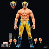 Marvel Legends - Wolverine (a torso nudo) - " Deadpool " e Wolverine