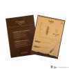 Cinereplicas Harry Potter - Replica in scala 1:1 della scopa magica Nimbus 2000 Junior