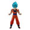 Bandai Tamashii - Super - Super Saiyan God Super Saiyan Son Goku  (Potere blu che supera i limiti) - Dragon Ball SHF SHFiguarts