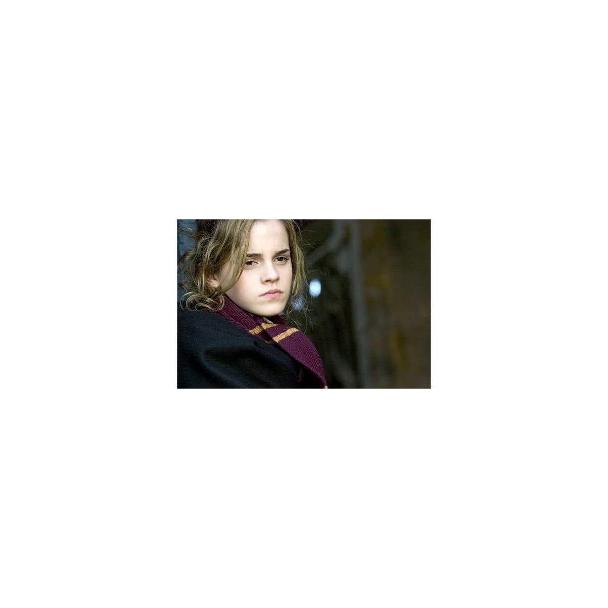 Harry Potter écharpe Gryffondor