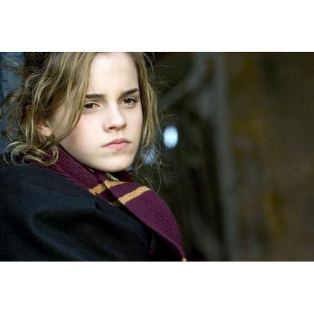 Harry Potter écharpe Gryffondor