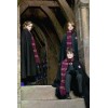Harry Potter écharpe Gryffondor