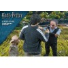 StarAce Harry Potter: Harry Potter Quidditch version 