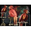 Noble Collection Figurine Hedwige en cage miniature