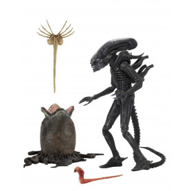 Neca Alien Serie 6 Isolation - Xenomorph