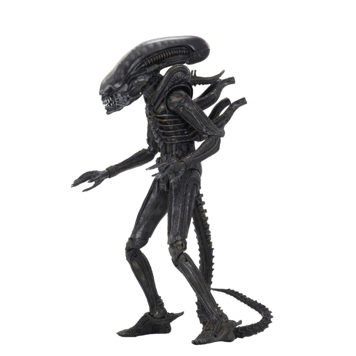 Neca Alien Serie 6 Isolation - Xenomorph