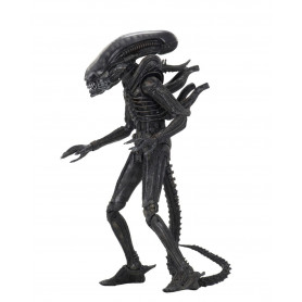 Neca Alien Serie 6 Isolation - Xenomorph