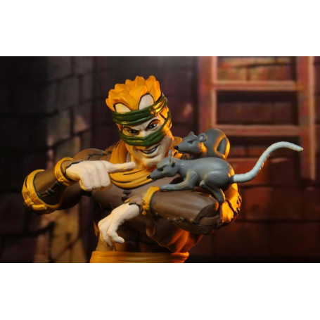 Neca - TMNT - Tartarughe Ninja - Pack 2 figure Rat King & Vernon