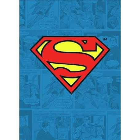 DC Comics - Batman Metal Magnet - Combattente del crimine