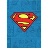 DC Comics - Batman Metal Magnet - Combattente del crimine