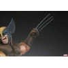 Teloniera Wolverine Brown Costume Premium Formato Premium